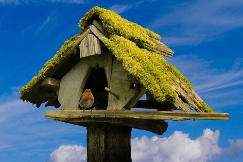 Vogelhaus selbst bauen