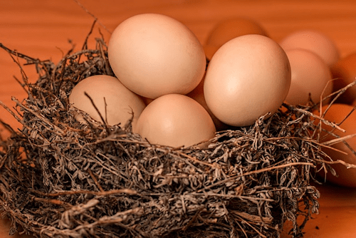 Cholesterin und Eier